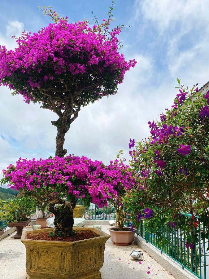 Nang Mai Homestay Dalat Exteriör bild